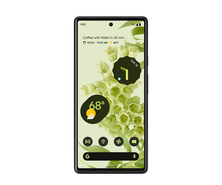 Google Pixel 6