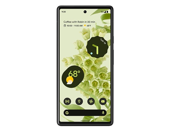 Dit product is geschikt voor de Google Pixel 6