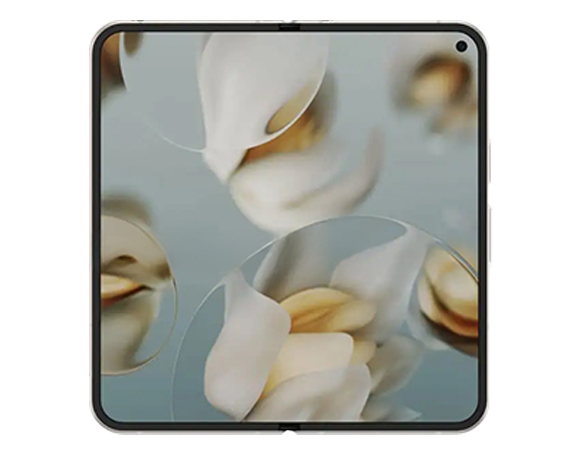 Dit product is geschikt voor de Google Pixel 10 Pro Fold