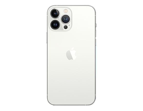 Dit product is geschikt voor de iPhone 13 Pro Max