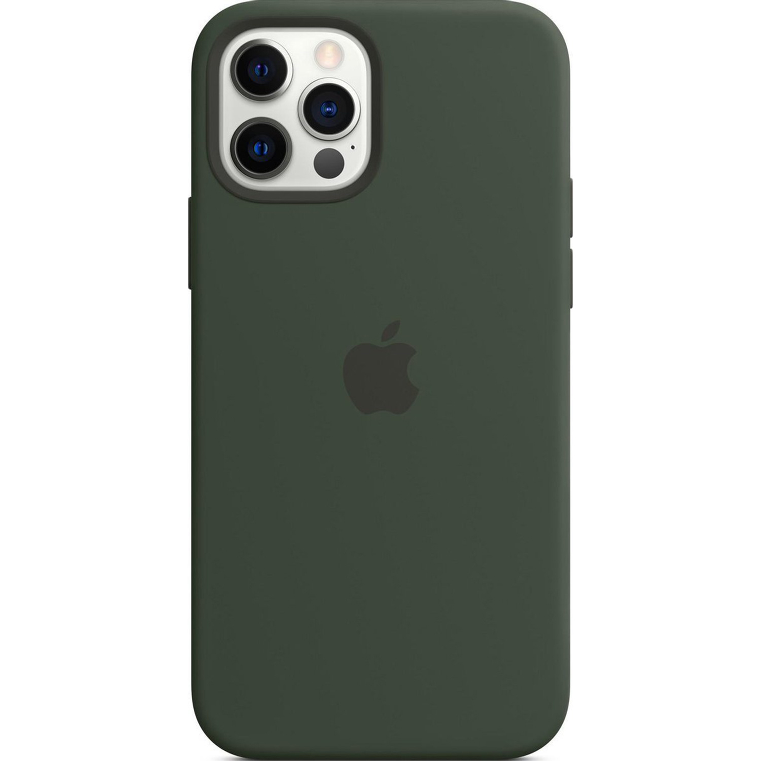 Silicone Backcover MagSafe voor de Apple iPhone 12 (Pro) - Cypress Green
