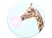 PopSockets PopGrip - Afneembaar - Afneembaar - Bubblegum Giraffe